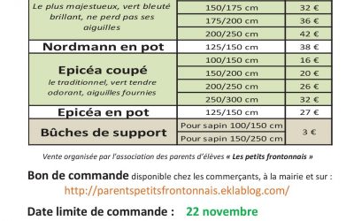 Les sapins de Noël, il faut y penser déjà !