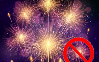 Mesures de sécurité à mettre en œuvre à l&rsquo;occasion des festivités de fin d&rsquo;année