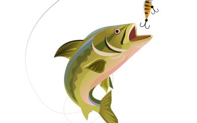 Arrêté préfectoral réglementant la pêche en Haute-Garonne