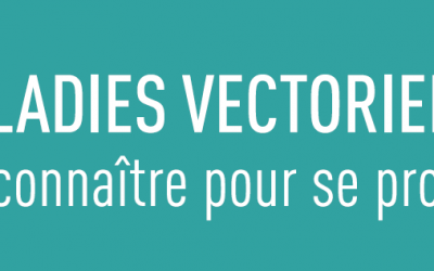 Prévention des maladies vectorielles