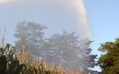 Homologation des prélèvements d&rsquo;eau pour l&rsquo;irrigation agricole (campagne  2018-2019) sur le sous-bassin du Tarn