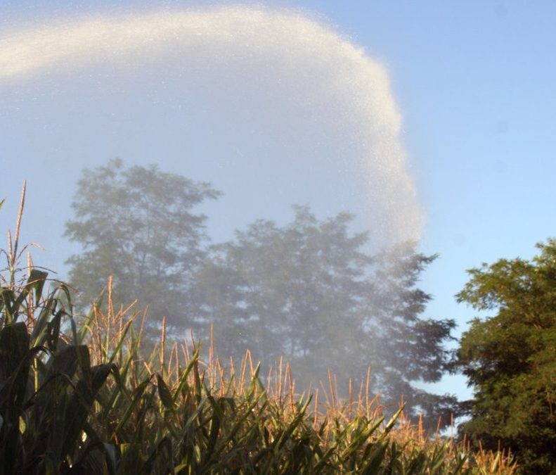 Homologation des prélèvements d’eau pour l’irrigation agricole (campagne  2018-2019) sur le sous-bassin du Tarn