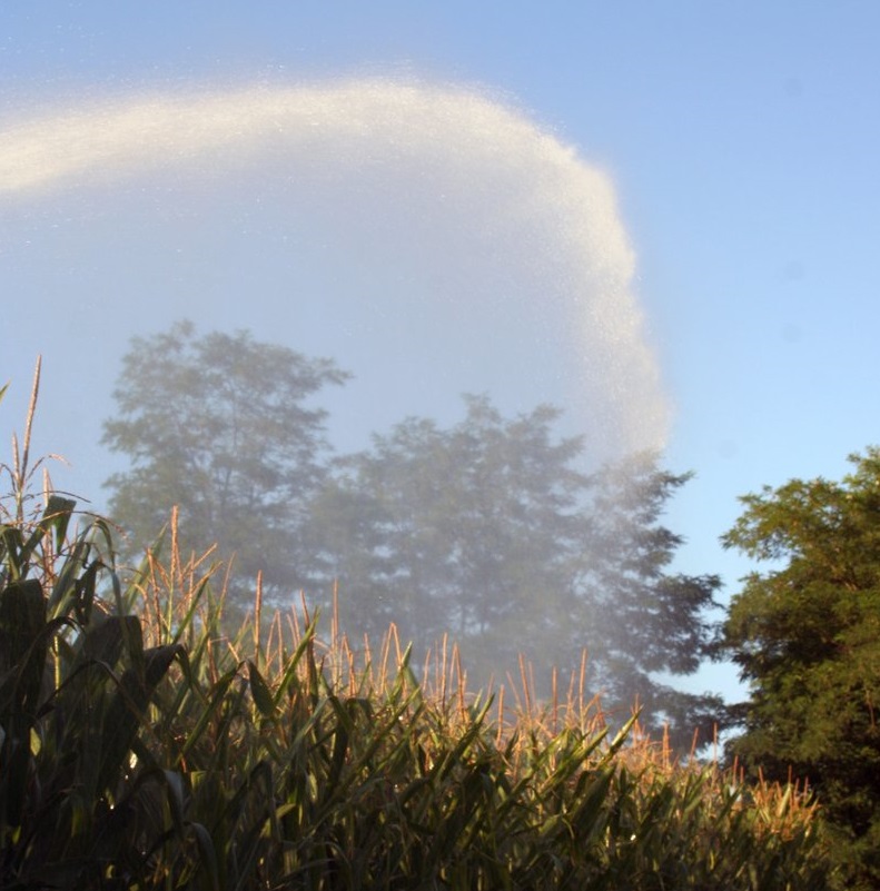 Homologation des prélèvements d’eau pour l’irrigation agricole (campagne  2018-2019) sur le sous-bassin du Tarn