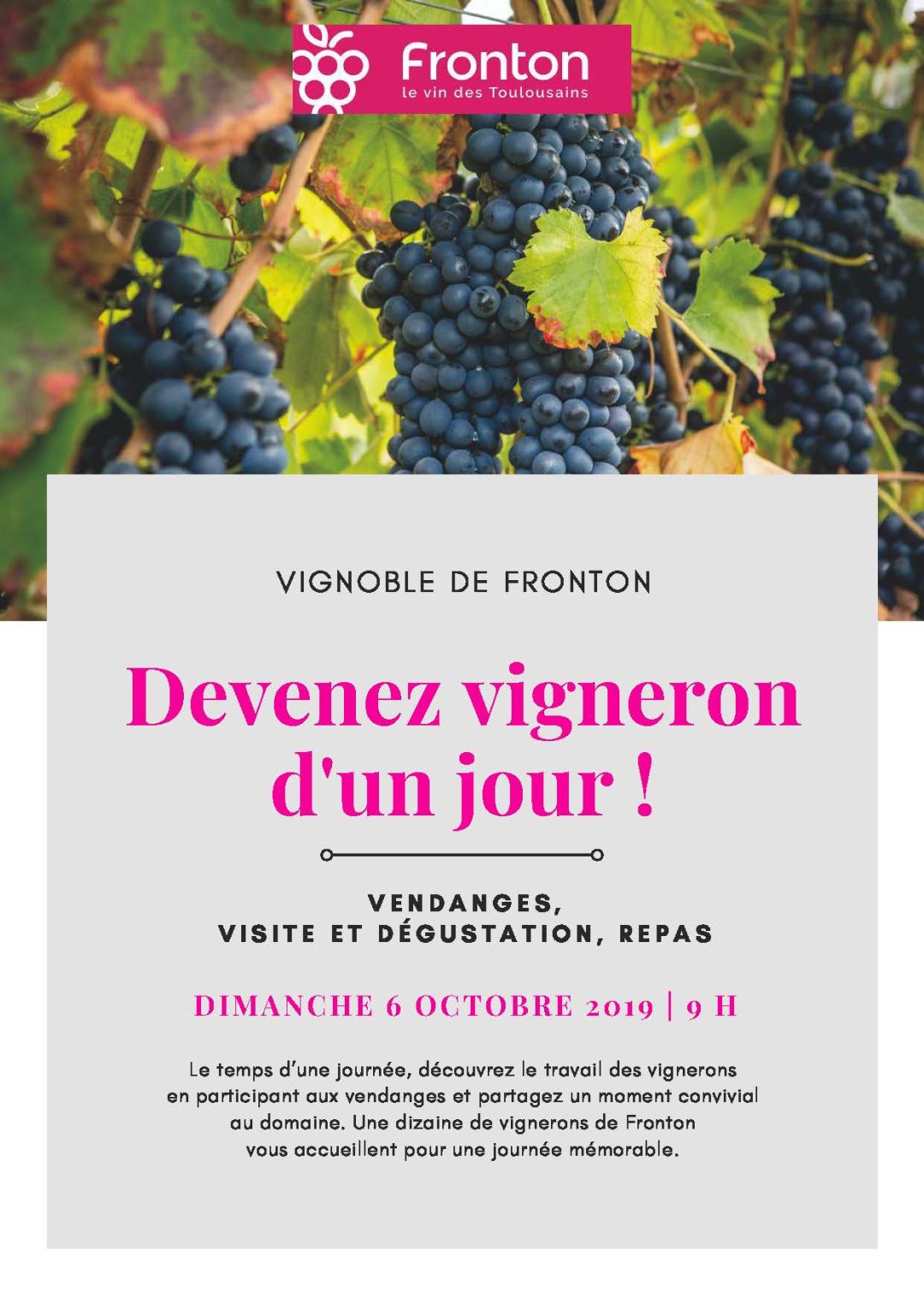 10062019 Vendanges touristiques Fronton_Page_1