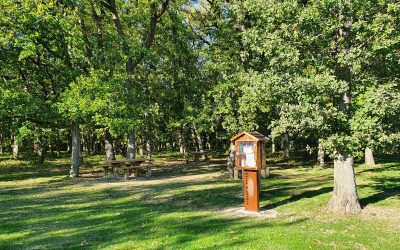 DES LIVRES EN PARTAGE !