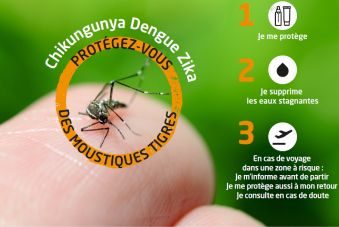 ARS Occitanie Moustique tigre Actu Aedes