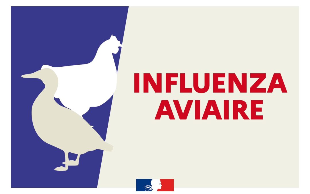 Influenza aviaire hautement pathogène