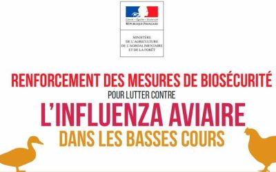 Influenza aviaire hautement pathogène : passage en niveau de risque élevé