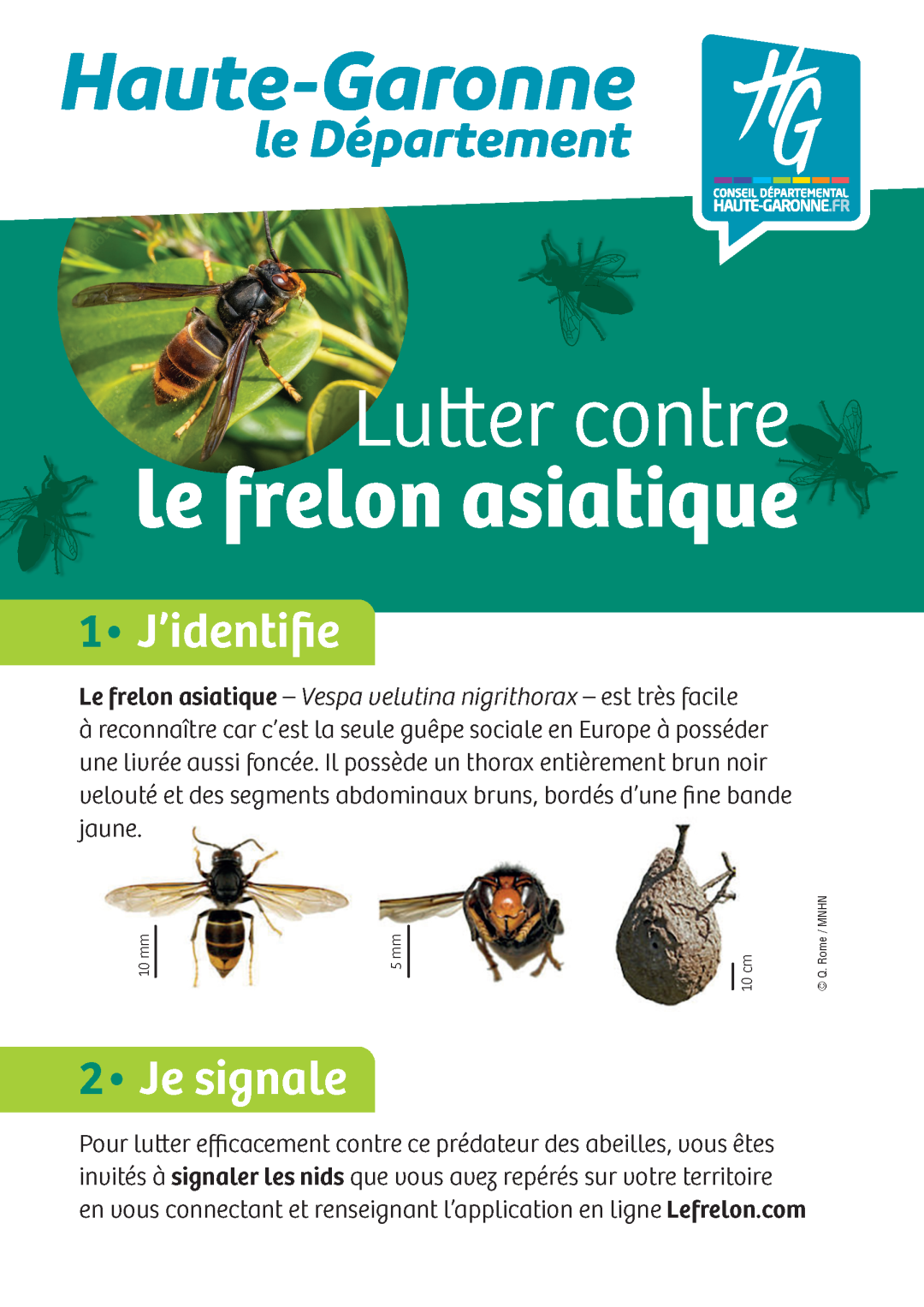 21562_Flyer lutte frelon_A5_Page_1