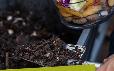 Demandez un composteur