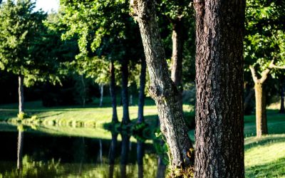 Le lac Xeresa à nouveau ouvert au public