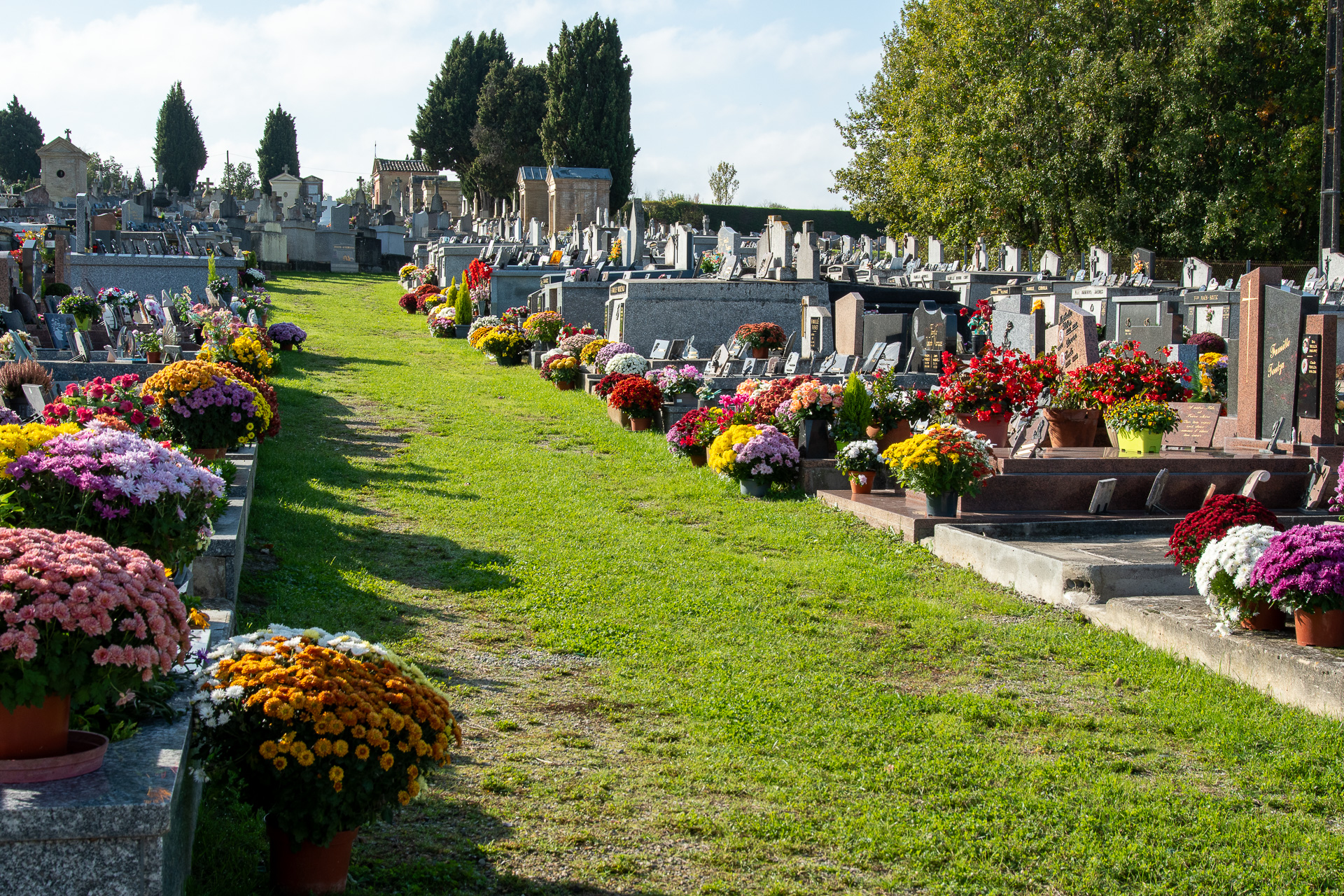 Cimetière : les soucoupes et récipients retenant l&rsquo;eau sont désormais interdits